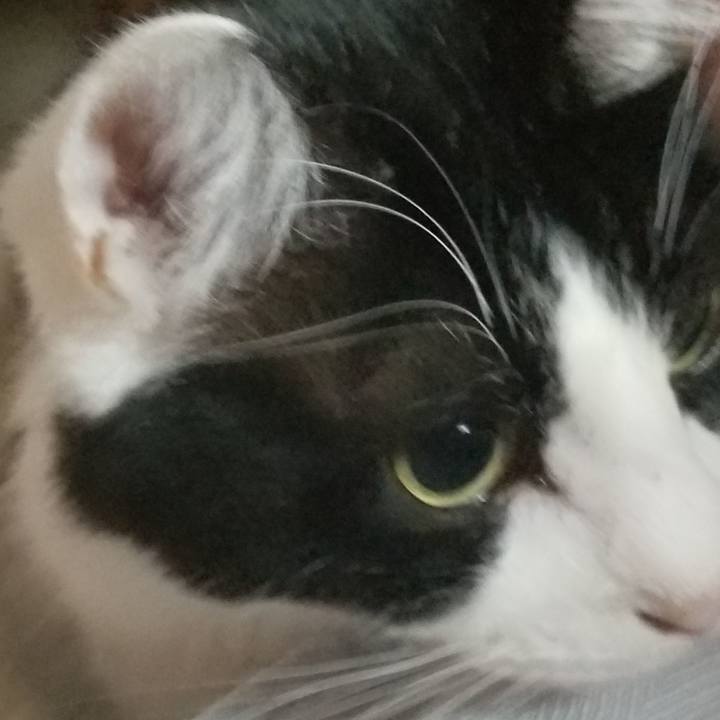 D796ca4c c21c 4ff6 962c 6872cacc4492 1551566531524