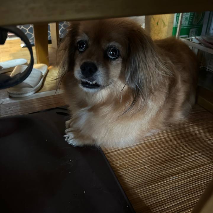 D796d1f0 b41b 4263 a6c3 fed072fc866a 1757631370025