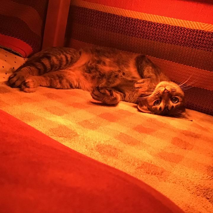 D796f7c8 1ad6 4bd5 ad36 38c226291d83 1607899202215