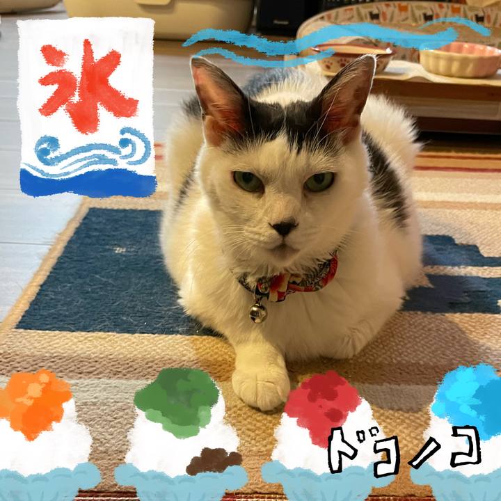 D7972225 7788 499c 938b ef95717fbb62 1723722858831