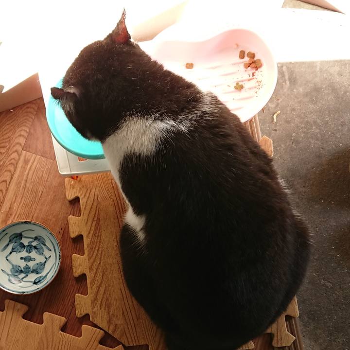 D7972a71 1687 4b28 a312 d56b5511c7b4 1626817843271