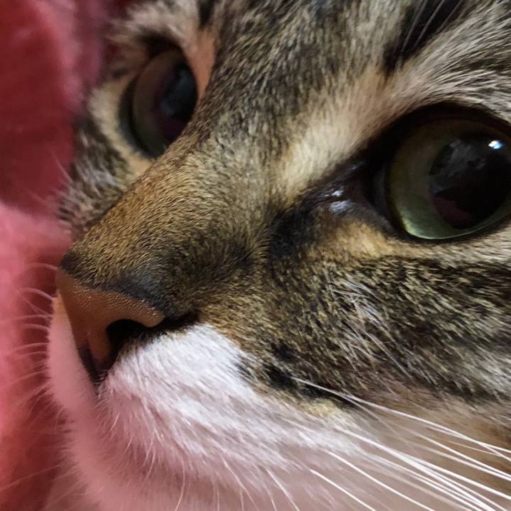 D7974471 b6b7 4c14 ad84 55b512f3fa92 1523456918477