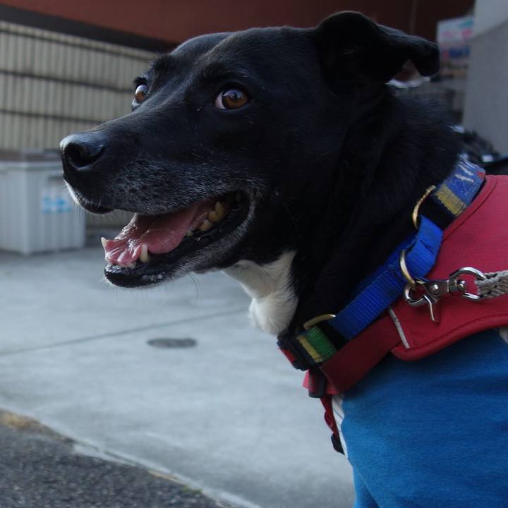 D79769ee 93bc 4822 8790 16f08dc0a036 1678327931795