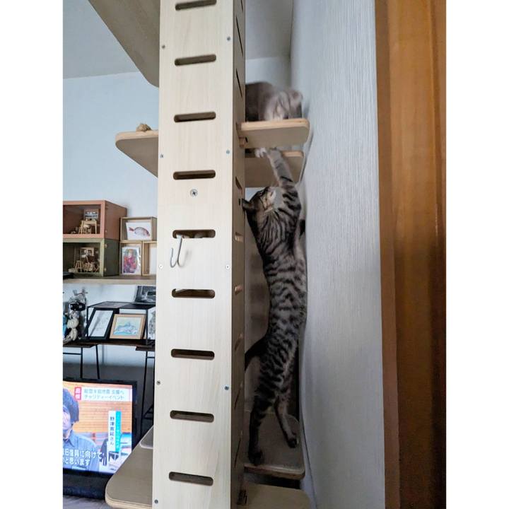 D797f35e c0e8 4228 ba0e 9128551e569e 1706588311824