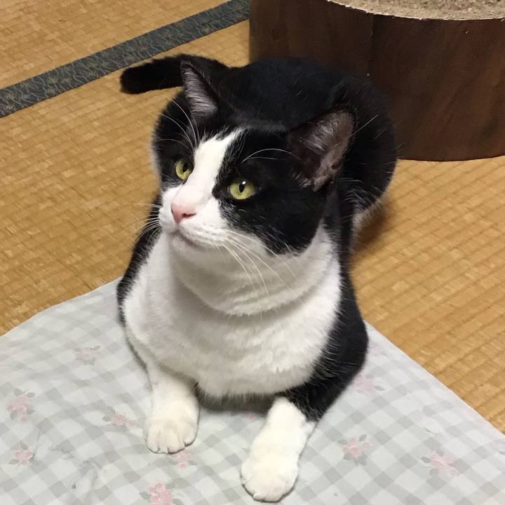 D797f7f9 7ca6 4d6f 99f2 be51eb0d2cb8 1722762134153