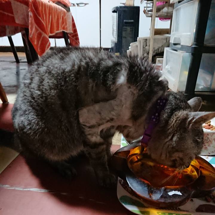 D797fd58 6449 4573 87e2 10b694e330f9 1590266324501