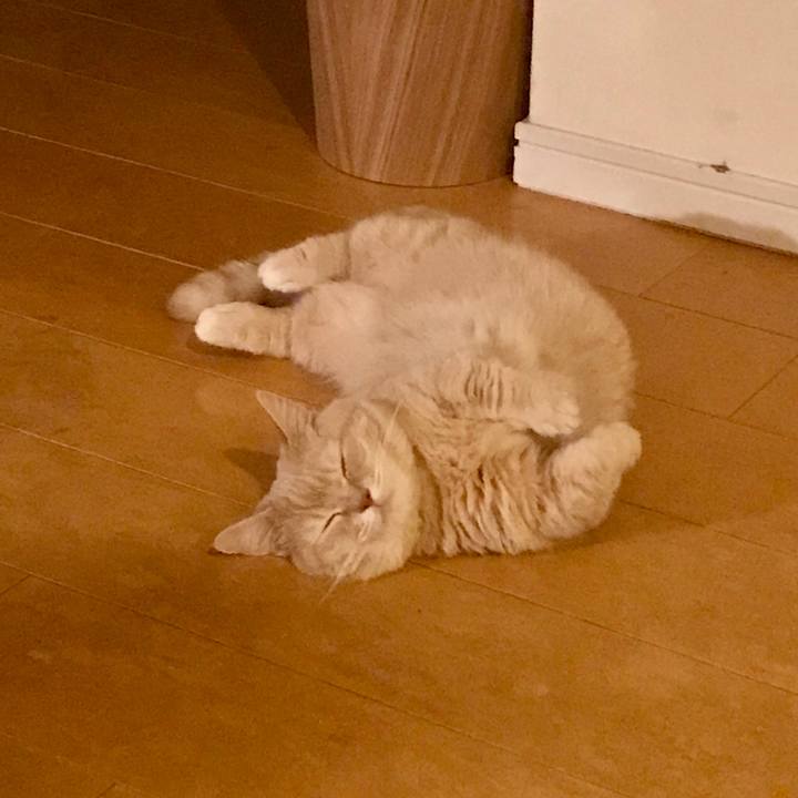 D7981809 c583 4dac b619 6792edb04ef5 1558188463964