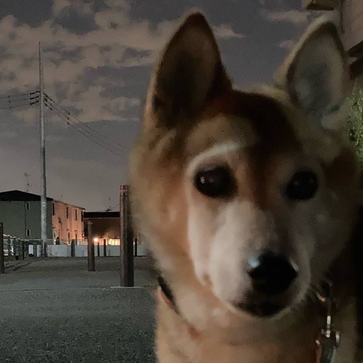 D79826e6 4bc6 487e 94ba ff7c1cf1eccd 1758970834901