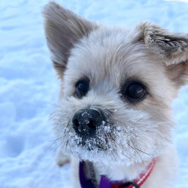 D79834c1 ff11 448c 8b6f b69aab3d20c0 1703054067745