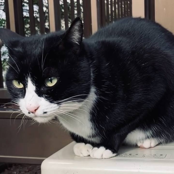 D7983b46 f6f0 488c bd0c 84e0c793d794 1735286819719