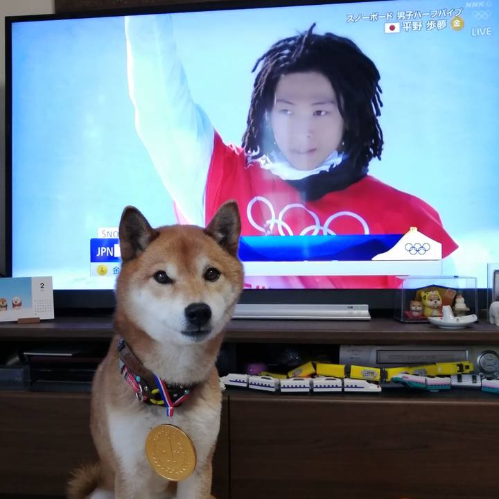 D7988812 b8ca 4b69 84ed 2de59d758cf9 1644549144830