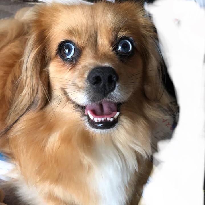 D798de92 4571 4731 a1db 3f0929ce1e1c 1563312792246