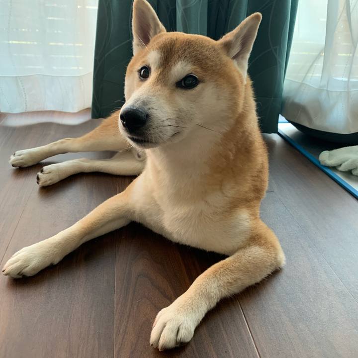 D798e65d 2a38 41fe b48e 03c642287ca5 1620301020407