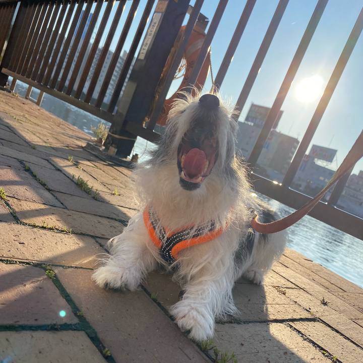 D7991470 8f82 480b 93ef 03fdb4573915 1592641937318