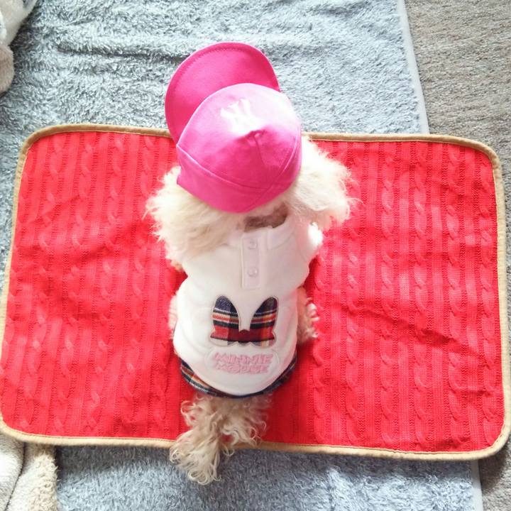 D799364a f656 4fa7 9c41 b348ed3e1b3b 1515573100459