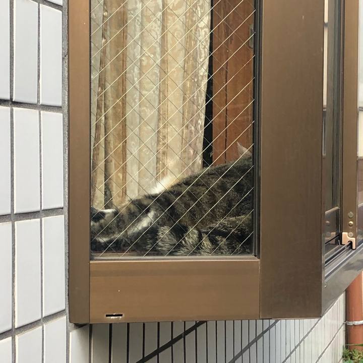 D7993f09 7b78 47ba a5a9 d52d3145691f 1600704134969