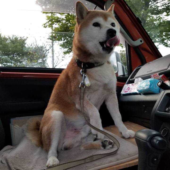 D7994a33 39d9 4e54 8d3a 18585c704f5c 1663058354122