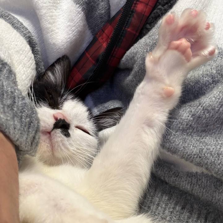 D7996766 678b 4071 ae41 a3e5aff75c0a 1767606807251