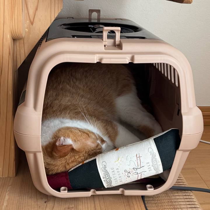 D79996ff 3d23 4962 9d2c 9c4321d864f3 1758321697483