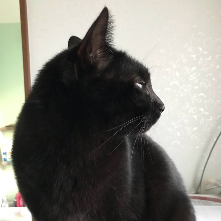 D7999f71 06ca 4d5e b7e8 455becac6115 1517014756823