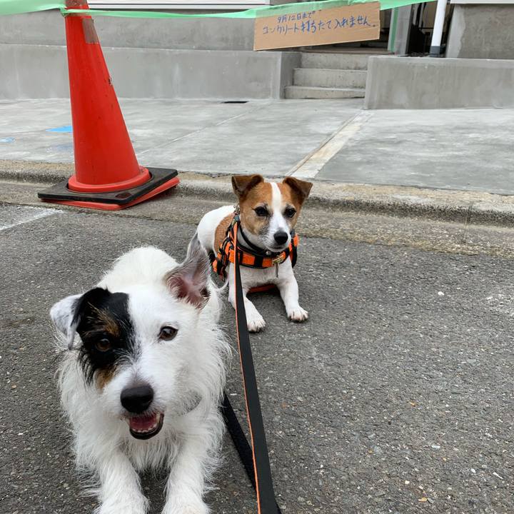 D799af81 ffe9 44d8 81ce 0be77daddf2a 1599957002781