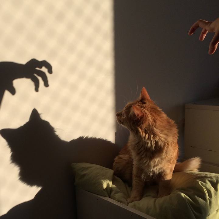 D799f184 dfd4 4402 987d c99f8dd5b78a 1537026982986