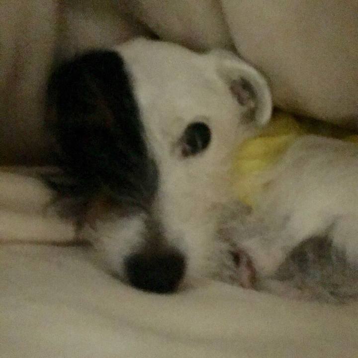 D79a07e5 af0a 4399 bd17 c6ac7e79fc87 1543936170157