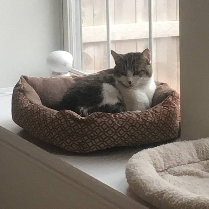 D79a0e95 e18d 4760 9f19 d7269218fc32 1646501664251