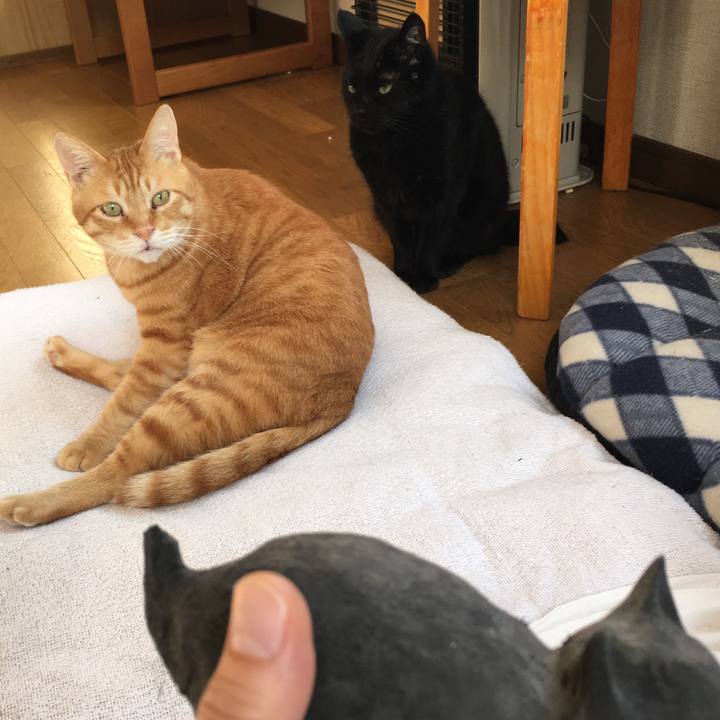 D79a131b dc23 4937 90e5 0d3fa0f36596 1562448147156