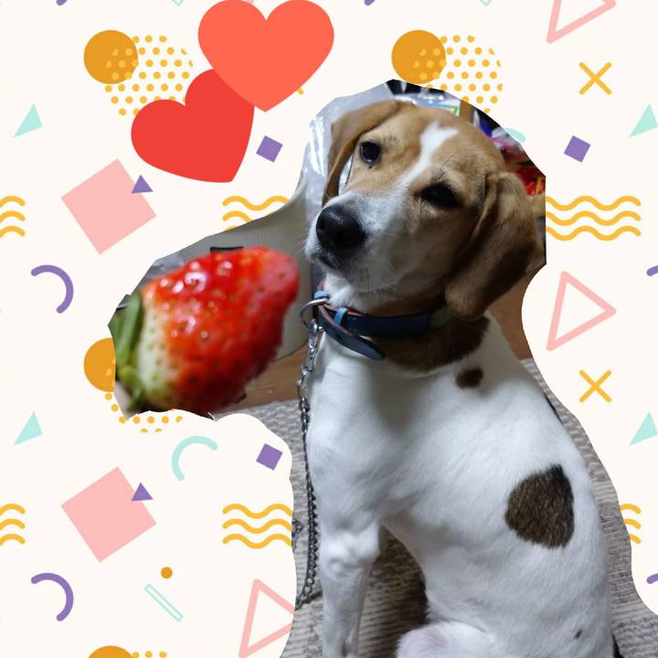 D79a1586 0cc4 418b 8ec0 5545dae8b461 1610453864785