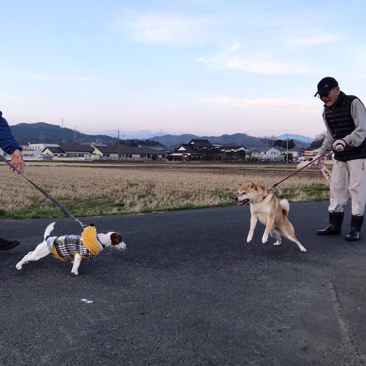 D79a1f78 94be 4e4d b327 6551017aee2b 1522091963650