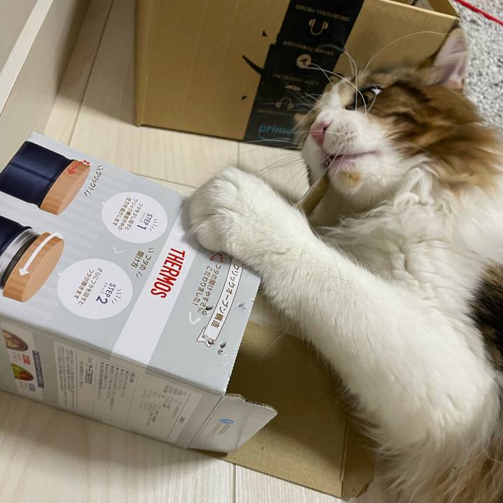 D79a1fa4 0576 44be ad2d acb76a9ee10f 1644006367683