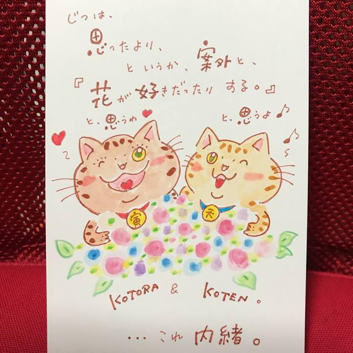 D79a214f 6ab3 4768 b2ac d0a7722605be 1550495697698