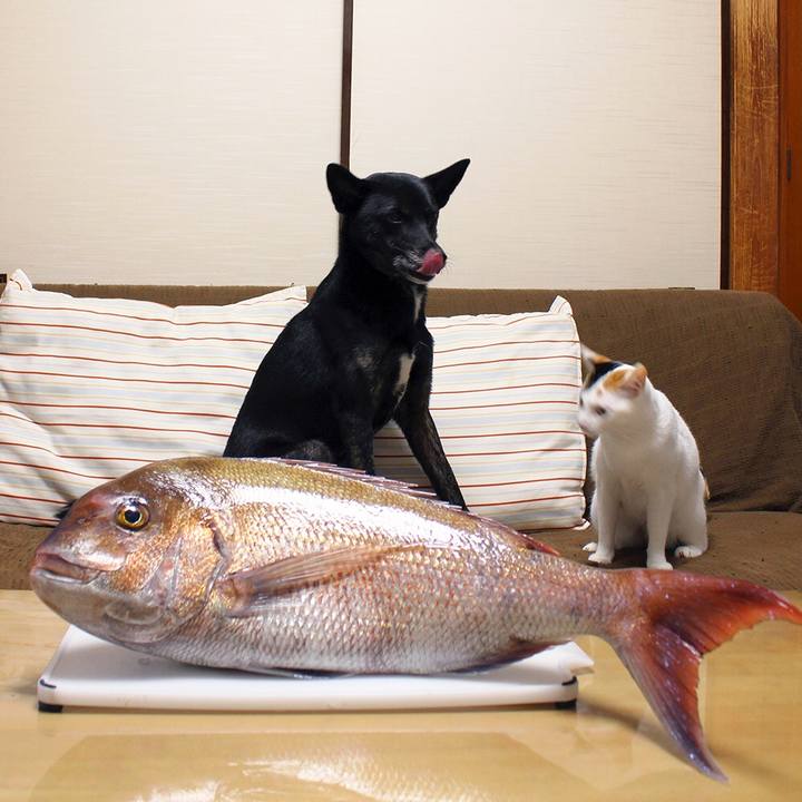 D79a2c76 5d66 4141 b79b 4a91492dbfc1 1577143707696