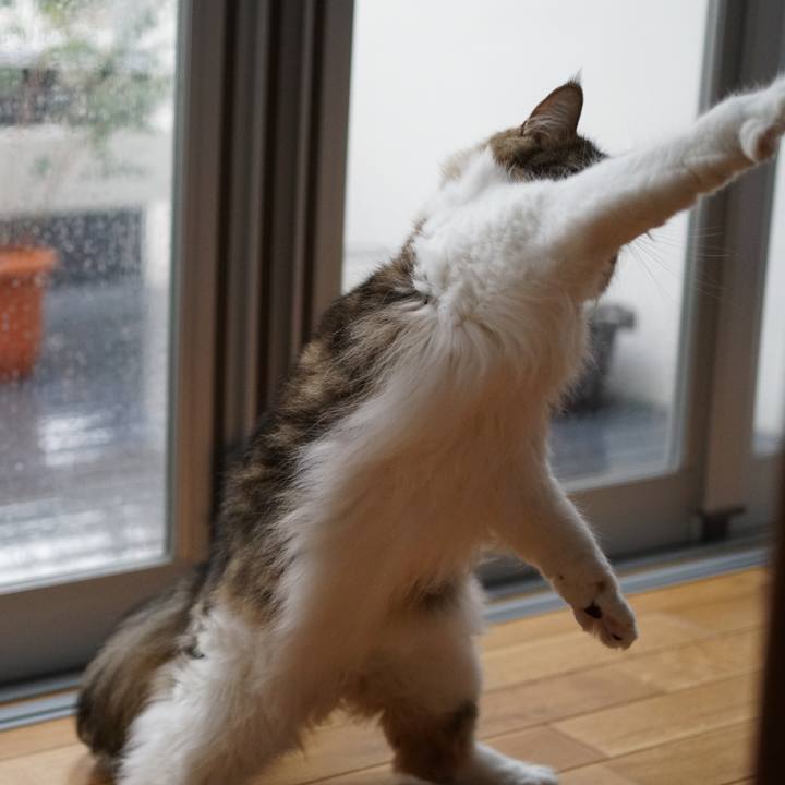 D79a3454 c901 4017 85c6 e02527c6a47f 1571707942870