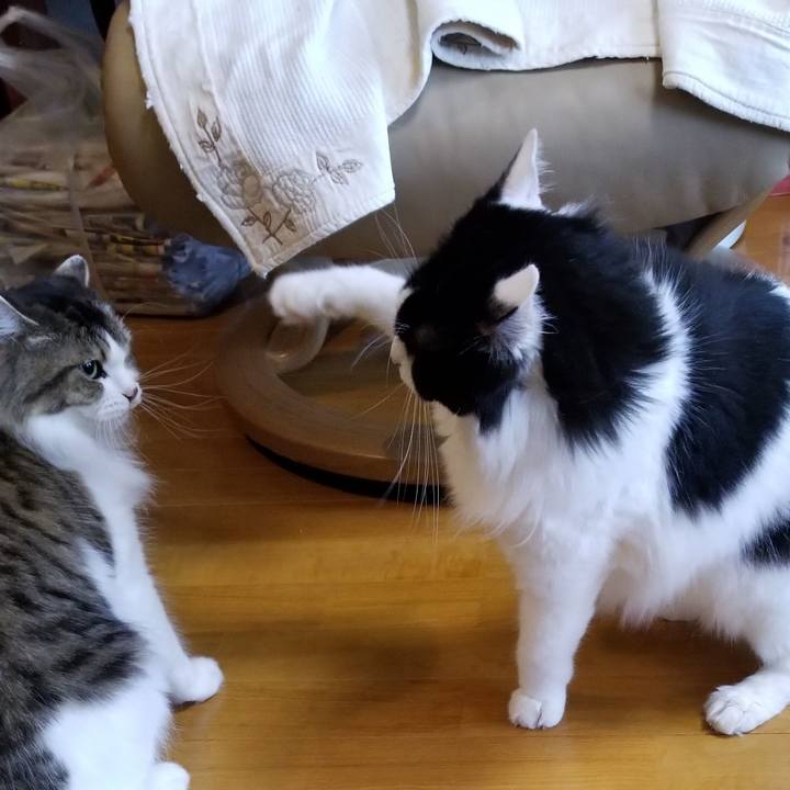 D79a4d82 c272 42e8 bb37 5a5b35d38f8a 1570742373496