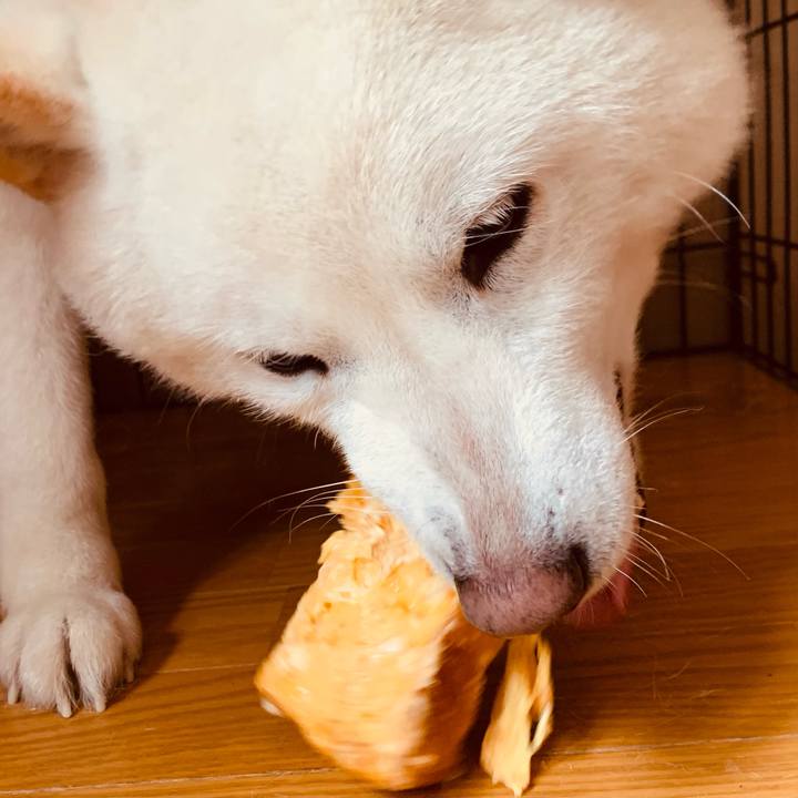 D79a4dbe c82a 49dd a57f 2869effba726 1616649995857