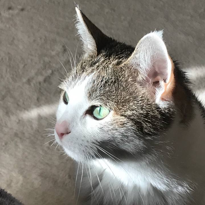 D79a5250 982b 490e a2f0 687902969656 1623305828175