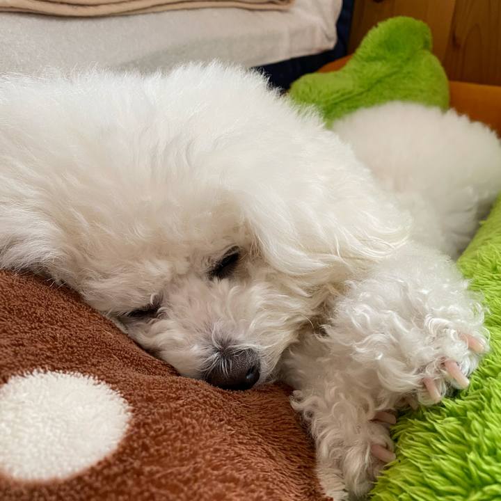 D79a62e9 285a 493f bb1c 2dde4ead10dd 1618453679936