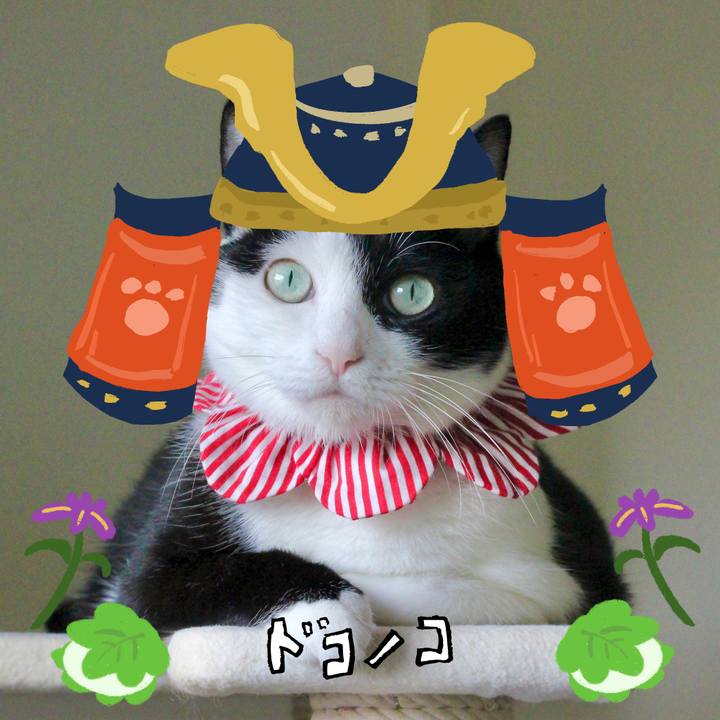 D79a944d 9df8 40b6 b8b7 bae1588ff08b 1715132364029