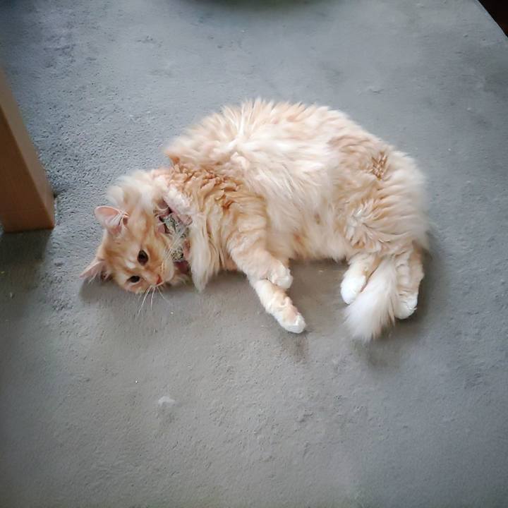 D79ab658 8010 4af9 a05f b3578ae59b06 1722044906704