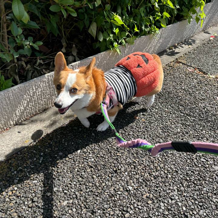 D79acd1a 1c59 42ee bdaf c2da901142c6 1761542595062