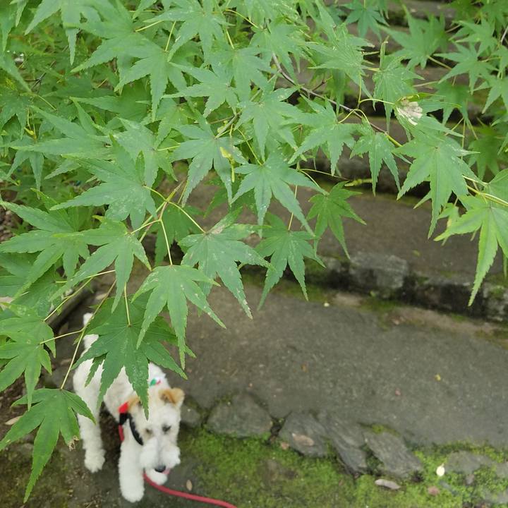 D79ade43 bdfb 49d7 9fc2 caa0a4c8c990 1594869753798