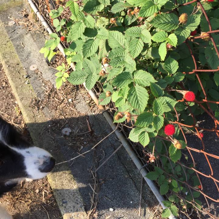 D79ae080 2f0d 40ab 914c f1f75c3be6e5 1557009653588