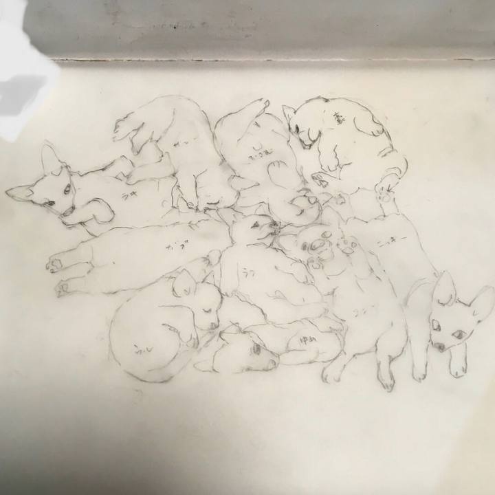 D79b3c64 f9fa 4662 8e5d 6ac715171364 1610725043625