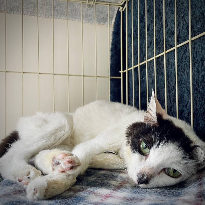 D79b3e1e 1447 4441 be6e c0a529819bd4 1714019055694