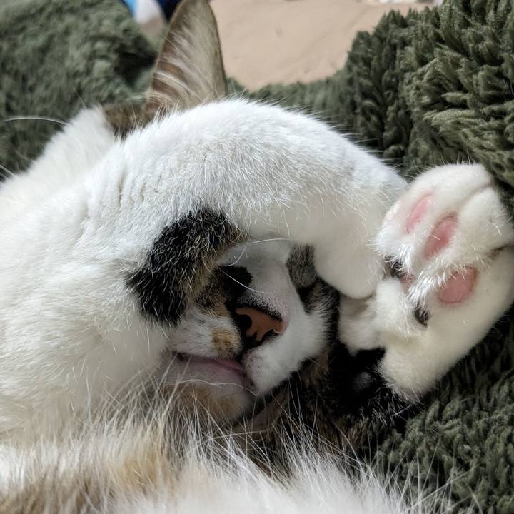 D79b55e2 f76d 4a87 b7e9 ccb5503bee86 1701936970097