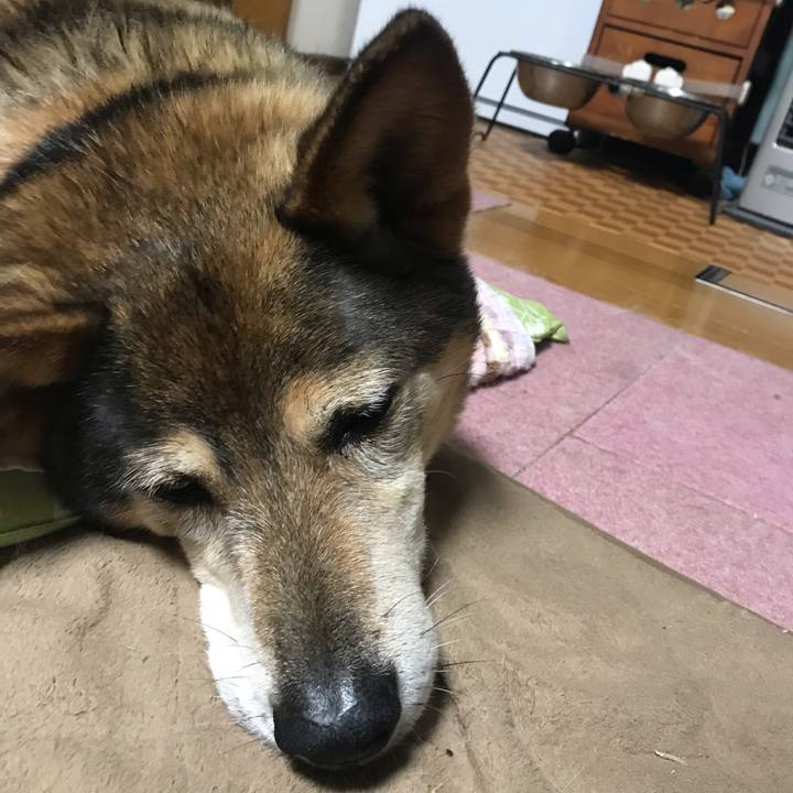 D79bbc7a fea0 44db 9bd2 42075de1ca5a 1557835958819