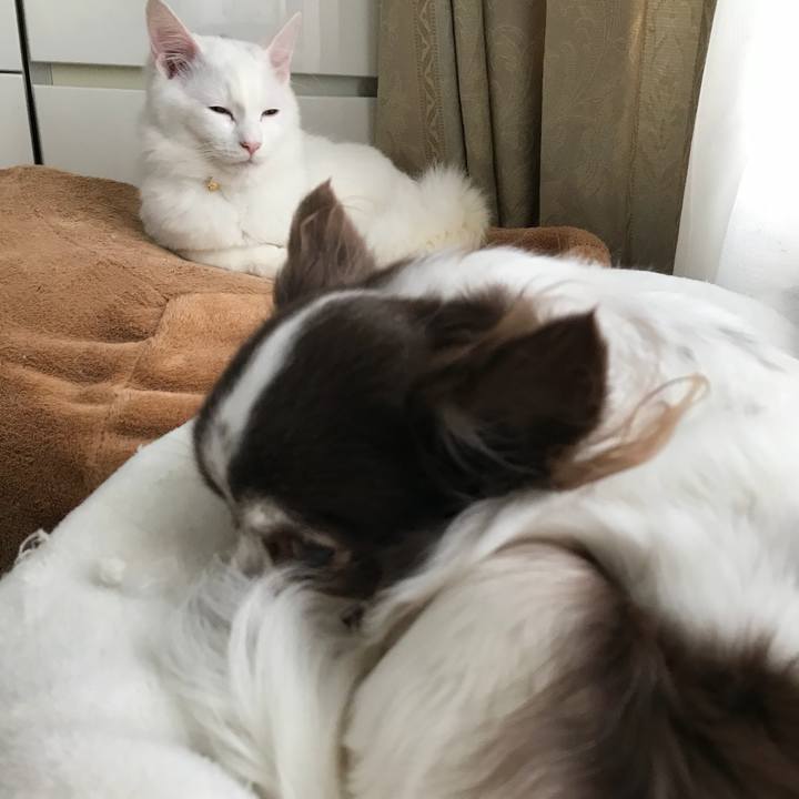 D79bc0ef c6e6 4908 8e82 47d05c0edc68 1516163458319