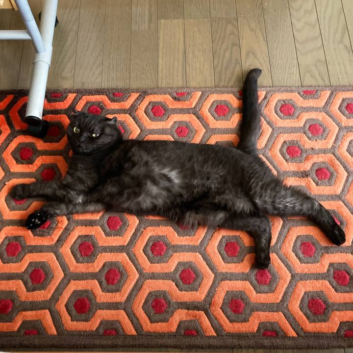 D79bd3c3 a1d2 4021 bf92 f3c1588765f4 1599532172503